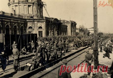 Жизнь в оккупации: matilda_i_ja