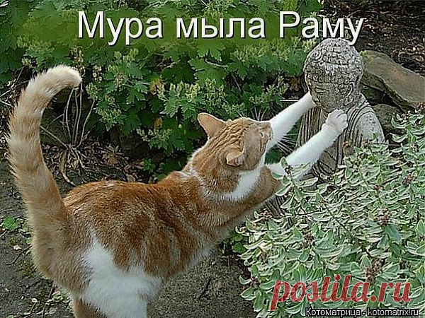 )))