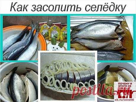 Как засолить селедку
А какая получается вкуснятина… Больше никогда не покупаю магазинную соленую селедку!
Скажу вам более… этот рецепт великолепно подходит для засолки скумбрии и любой красной рыбы.
Ингредиенты
- сельдь – 1 кг;
- поваренная соль – 6 стол. ложки без горки;
- перец душистый горошком – 10 шт.;
- сахарный песок – 3 стол. ложки;
- лавровый лист – 3-4 шт.;
- вода – 1 литр.
Приготовление
1. Наливаем в кастрюлю воду и доводим ее до кипения.
2. Добавляем к воде сахарный песок, поварен