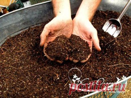 Органические подкормки ✔ЗОЛЬНАЯ ПОДКОРМКА Даже в условиях города достать золу…