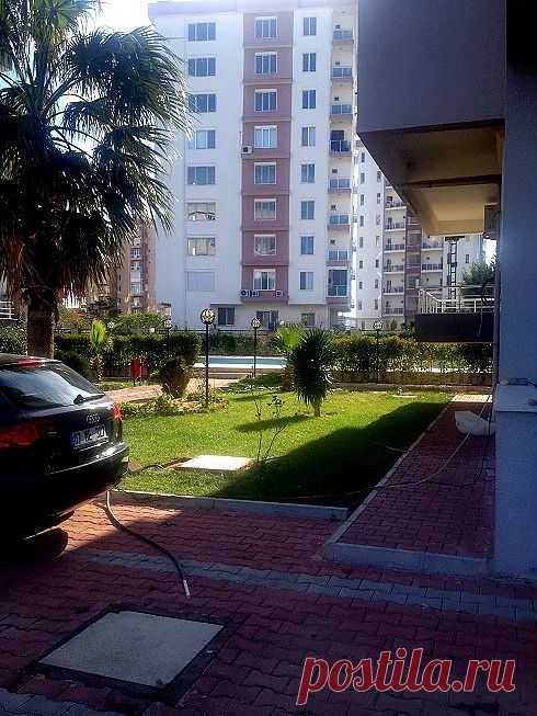 Вид комплекса