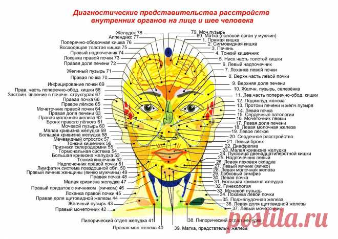 ogulov-veidas.jpg (2480×1754)