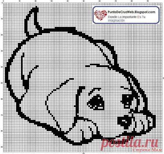 Собаки для 2018 - Жаккард - Страна Мам