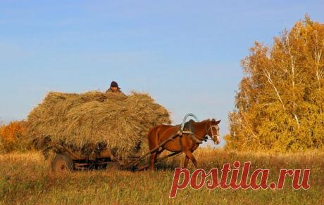 Один работник зашел к барину и говорит: / Восприятие бизнеса