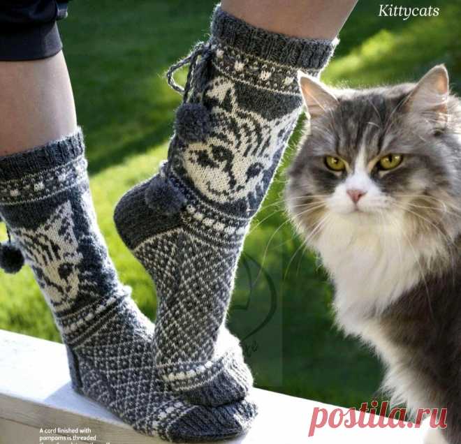 Носочки с котиками. Схемы жаккардов