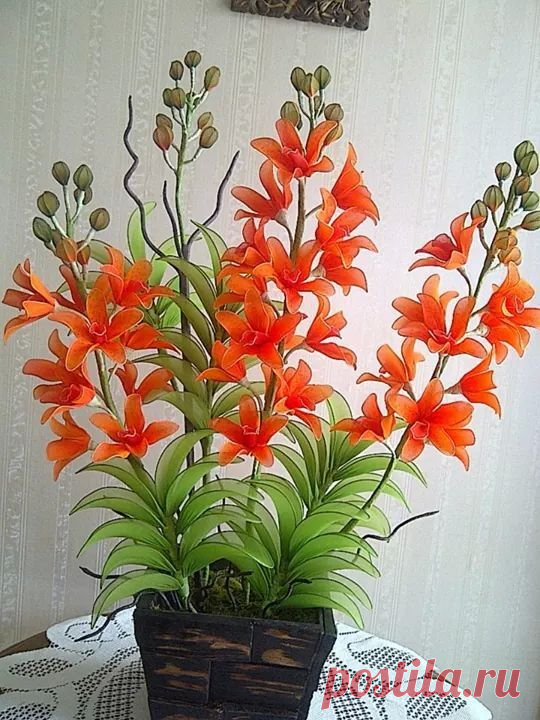 (670) Pinterest