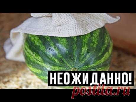 В гостях у свекрови увидела, как она режет и хранит арбуз. Теперь делаю так же!