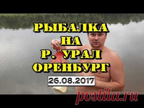 РЫБАЛКА в Оренбурге/Дневник рыбака #4 / 27 августа 2017 г.