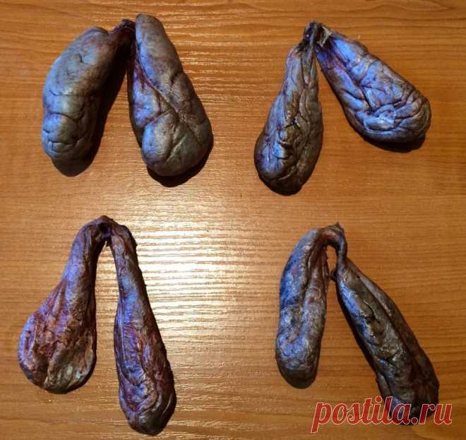 Мускус бобровая струя.