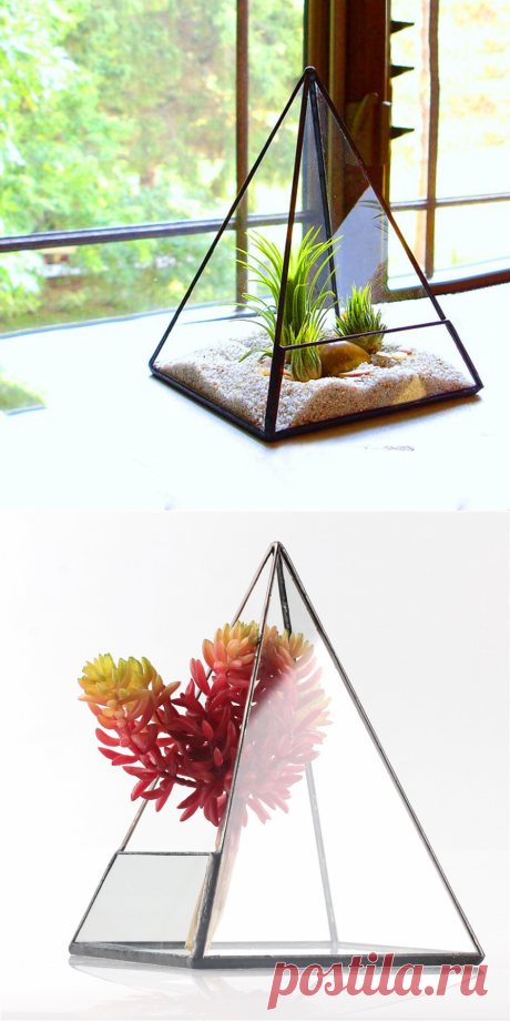 Современный Настольный Додекаэдр Стеклянный Террариум Сочные Завод Террариум Box Геометрическая Пирамида Вазоны Плантатор Бонсай Цветочный Горшок купить на AliExpress