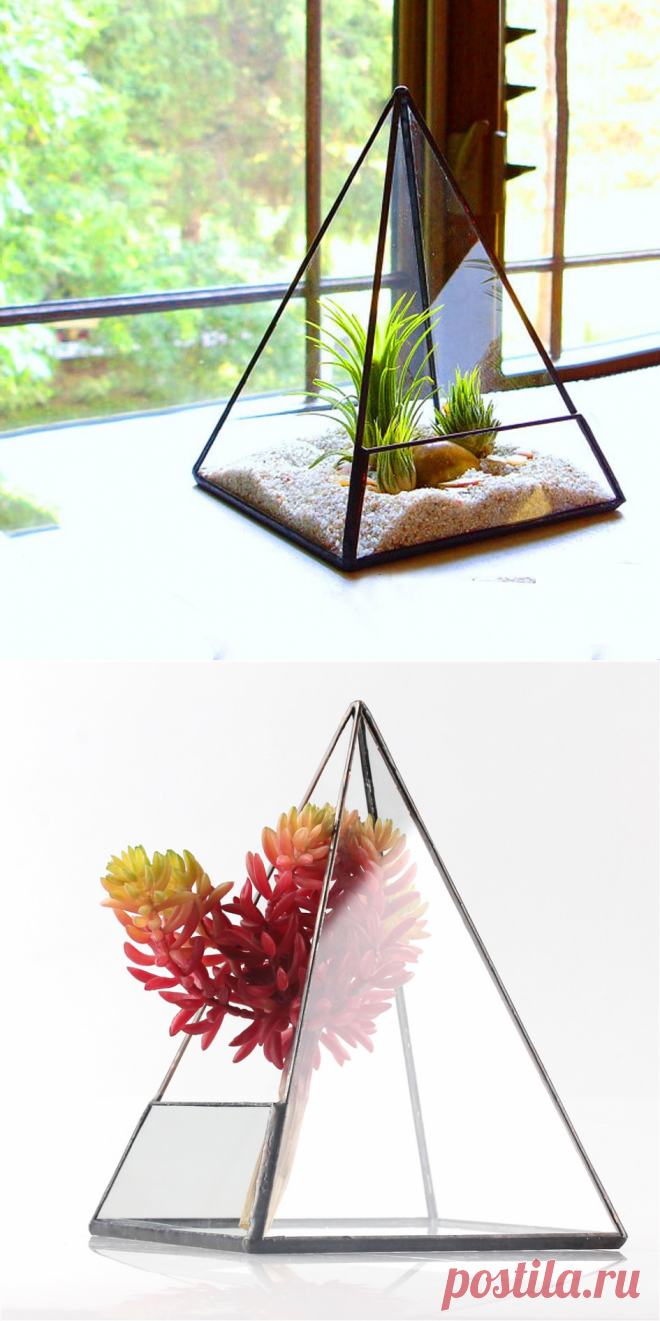 Современный Настольный Додекаэдр Стеклянный Террариум Сочные Завод Террариум Box Геометрическая Пирамида Вазоны Плантатор Бонсай Цветочный Горшок купить на AliExpress