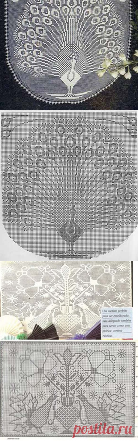 Павлины