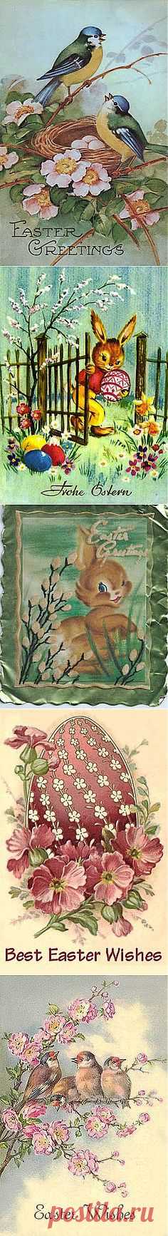 Here Comes Peter Cottontail on Pinterest