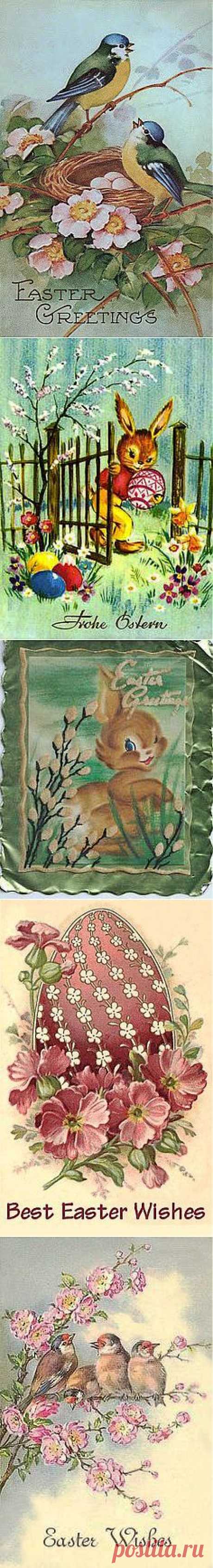 Here Comes Peter Cottontail on Pinterest