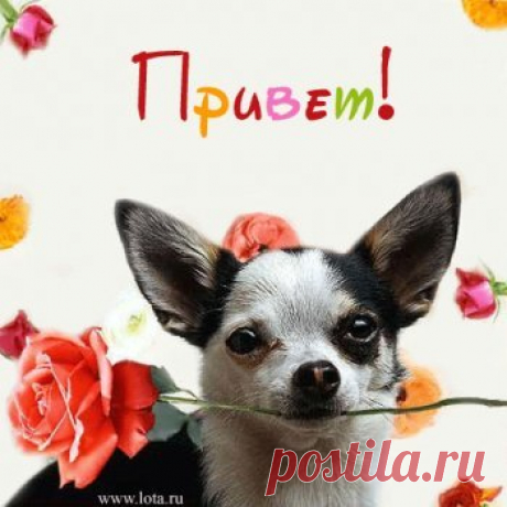 Прикольные открытки для друзей