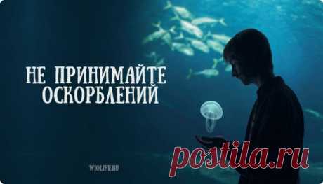 Не принимайте оскорблений