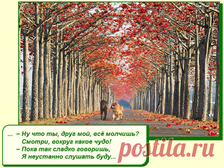 ХОРОШЕГО ВАМ НАСТРОЕНИЯ