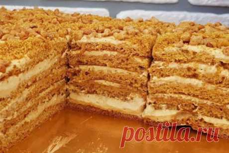 Как приготовить медовик быстро и вкусно - пошаговый рецепт