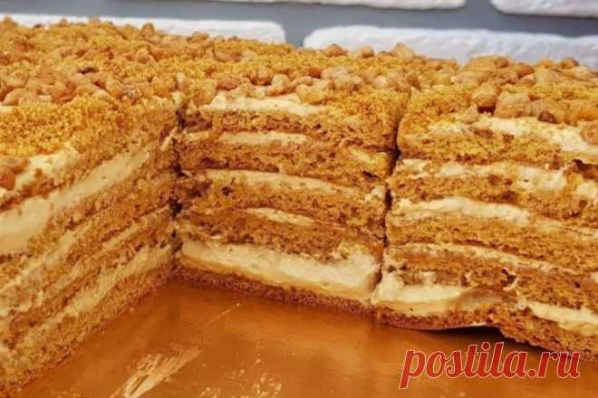 Как приготовить медовик быстро и вкусно - пошаговый рецепт
