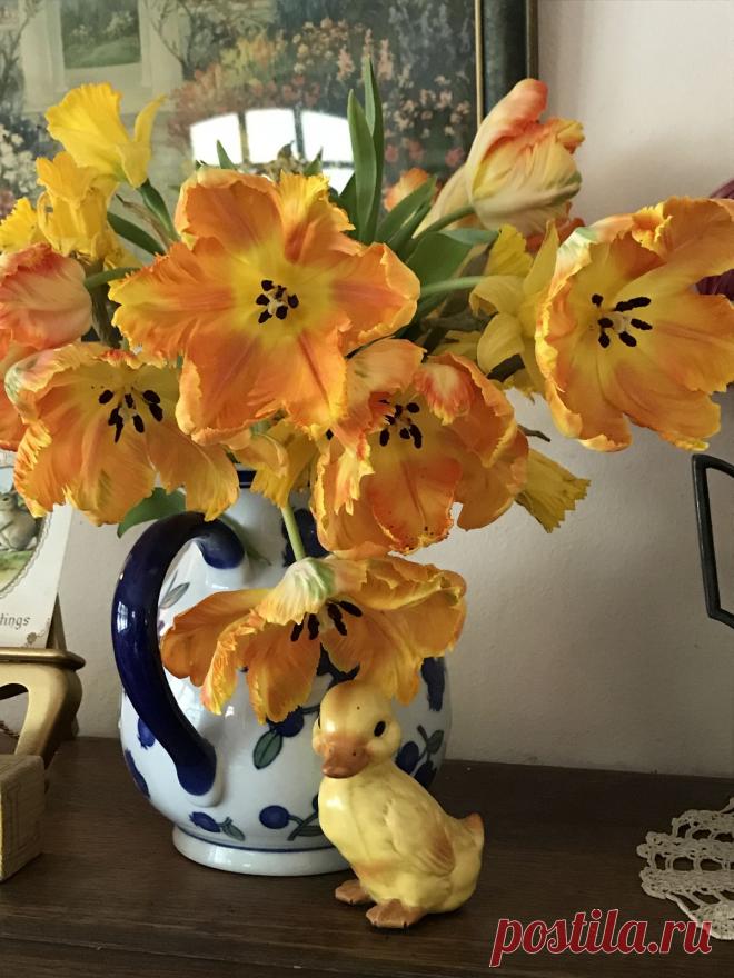 Пин на доске яТЮЛЬПАНЫ