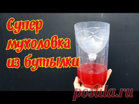 Мухоловка из пластиковой бутылки