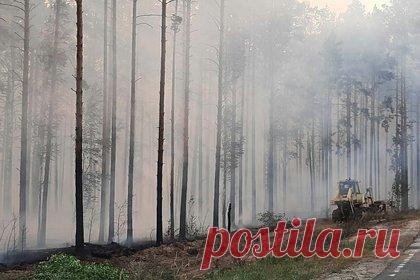 Жителям региона России будут платить за сообщения о нарушениях в одной сфере. Власти Ямало-Ненецкого автономного округа будут платить жителям региона за сообщения нарушениях в сфере природопользования, в том числе о лесных пожарах. Максимальный размер выплаты составит 20 тысяч рублей — на нее будут претендовать те, кто сообщил о природном пожаре. Власти надеются на положительный эффект.