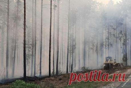 Жителям региона России будут платить за сообщения о нарушениях в одной сфере. Власти Ямало-Ненецкого автономного округа будут платить жителям региона за сообщения нарушениях в сфере природопользования, в том числе о лесных пожарах. Максимальный размер выплаты составит 20 тысяч рублей — на нее будут претендовать те, кто сообщил о природном пожаре. Власти надеются на положительный эффект.