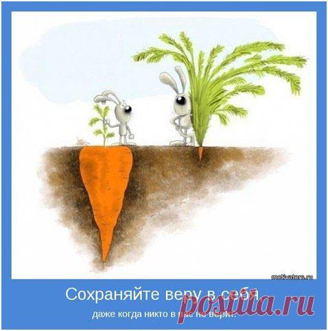 Офисный Lifestyle|Система Главбух