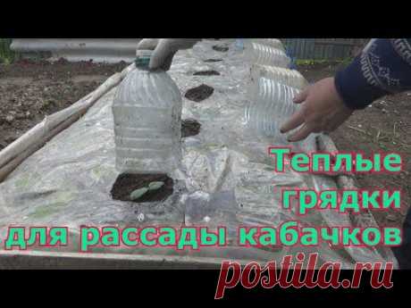 Устройство теплых грядок для рассады кабачков и тыквы - YouTube