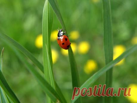 Избранное | Фотографии Елена Жёлтышева | 75 фото