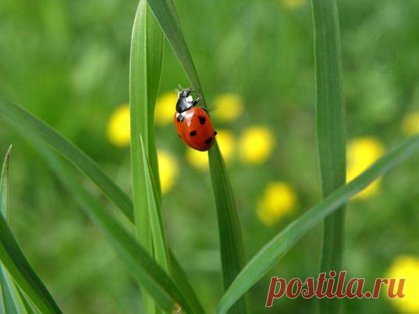 Избранное | Фотографии Елена Жёлтышева | 75 фото