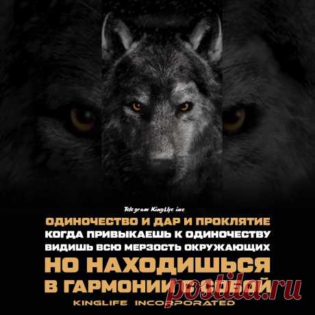 Больше Мотивации у нас в Телеграм канале ☝   | 

цитаты | цитаты со смыслом | цитаты со смыслом про жизнь | цитаты со смыслом | мотивационные цитаты | 
мотивационные цитаты спорт | мотивационные цитаты обои | мотивационные цитаты для учебы | мотивационные цитаты видео | 
мотивационные цитаты эстетика | мотивация | мотивация к учебе | мотивация на день