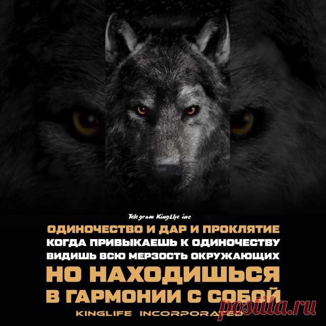 Больше Мотивации у нас в Телеграм канале ☝   | 

цитаты | цитаты со смыслом | цитаты со смыслом про жизнь | цитаты со смыслом | мотивационные цитаты | 
мотивационные цитаты спорт | мотивационные цитаты обои | мотивационные цитаты для учебы | мотивационные цитаты видео | 
мотивационные цитаты эстетика | мотивация | мотивация к учебе | мотивация на день