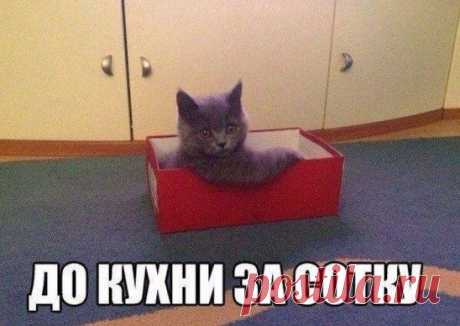 С ветерком! ))))