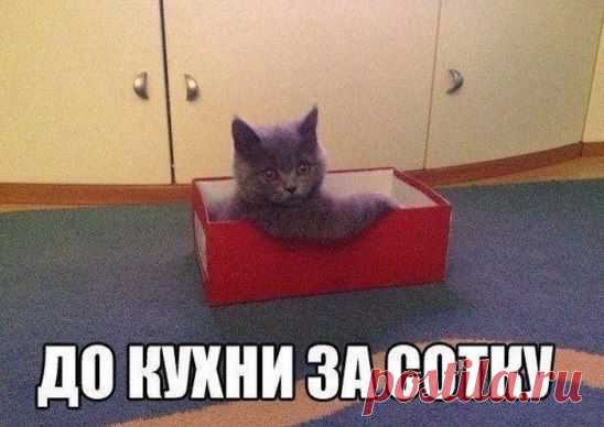 С ветерком! ))))