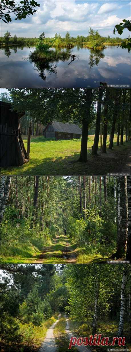 (+1) тема - Отзвуки ушедшего лета из Мещёры | ТУРИЗМ И ОТДЫХ