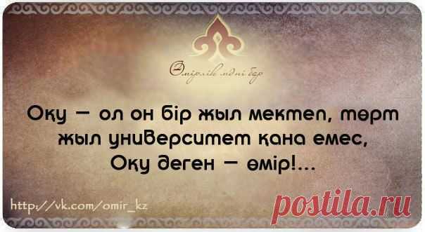 Стена | ВКонтакте