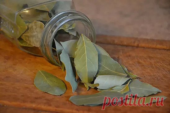 Волшебные свойства лаврового листа, о которых ты наверняка не знал.
1. При диабете 
С помощью лаврового листа можно понизить уровень сахара в крови. В термос насыпь 10 листьев пряности, залей их 3 стаканами кипятка. Настой будет готов через 3 часа. Принимай лечебное средство по половинке стакана за 30 минут до принятия пищи 3 раза в день. Курс лечения — 2 недели, после этого следует прерваться на 2 недели. Рецепт полезен не только страдающим диабетом людям, но и тем, кто хочет отрегулировать угл