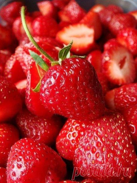 Создаем клубничную плантацию для богатого урожая!!!