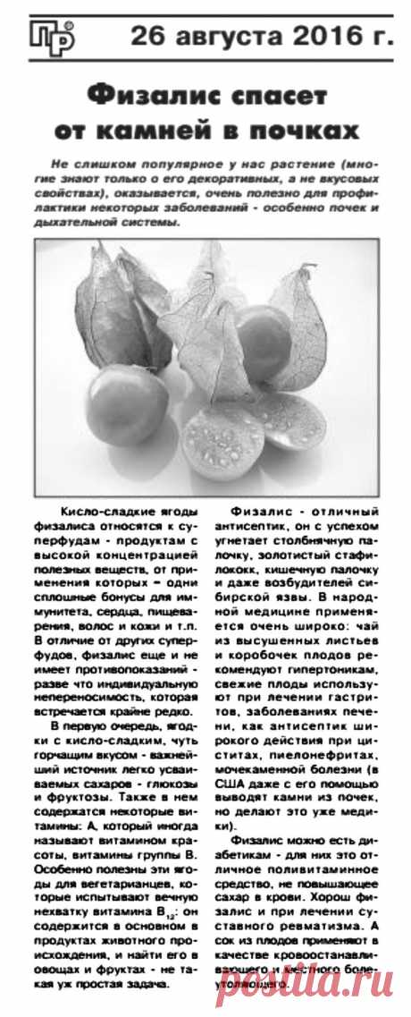 Физалис - лечебные свойства
