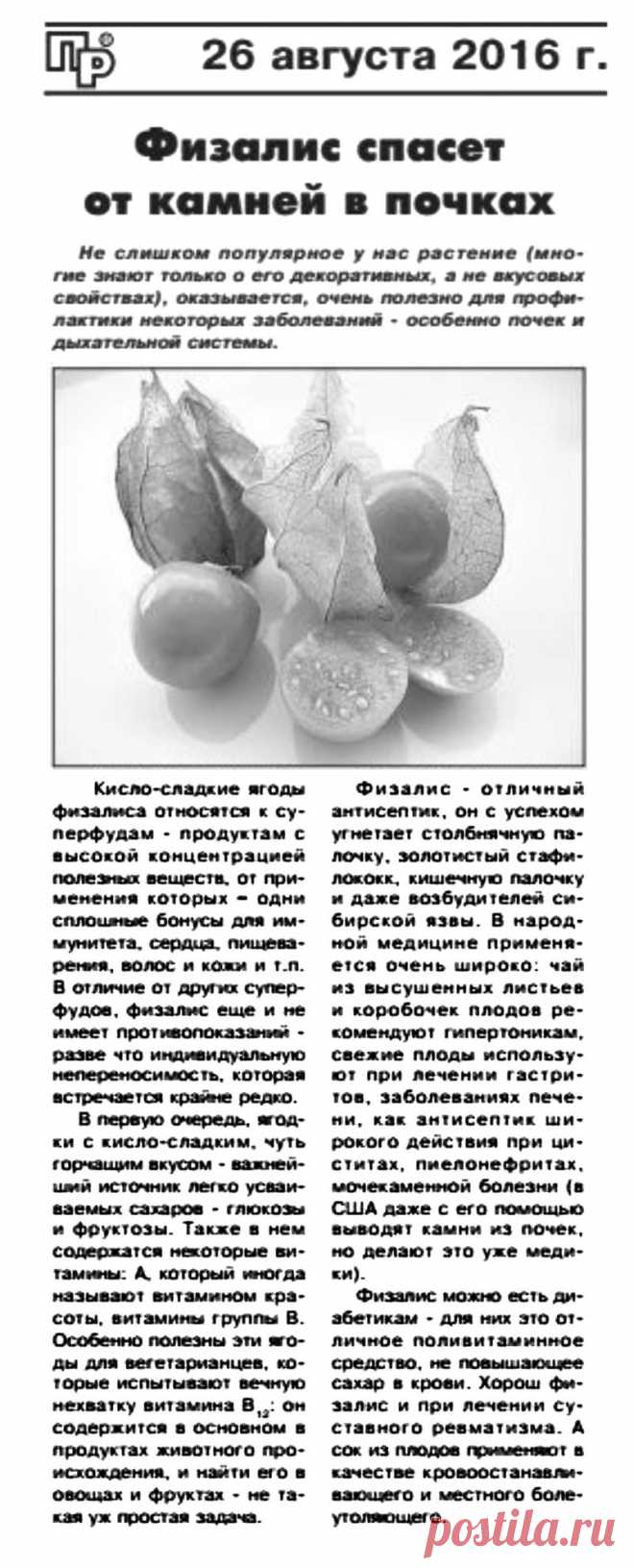 Физалис - лечебные свойства