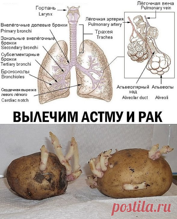 (13) Одноклассники