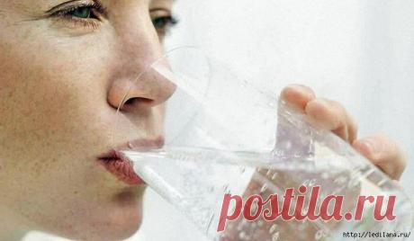 Стакан воды в часы Ю-ШИ. Стакана воды: мощная методика исполнения желаний! Стакан воды в часы Ю-ШИ

Стакан воды в часы «Ю-ши» для здоровья почек.
Напоить почки: 17.00-19.00 – часы “Ю-ши”
В это время активен меридиан почек. Следует увеличить количество питья, чтобы ускорить в…