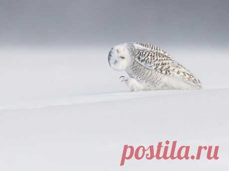 27 фотографий, которые никого не оставят равнодушным