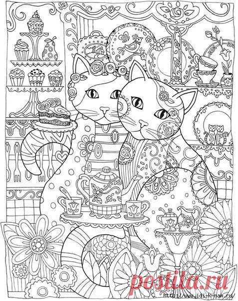 раскраски для взрослых: кошки
