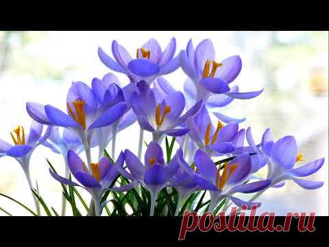 Энергетическая "скорая помощь". Практика. - YouTube