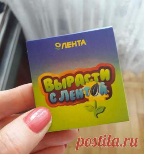 В «Ленте» бесплатно получила семена дайкона. Посмотрела, что внутри упаковки и прочитала о полезных свойствах продукта
Раньше, когда на кассе в «Ленте» к покупкам на определённую сумму выдавали мелкие подарки, это немного раздражало: зачем мне детские картинки или ядовитой расцветки конфеты? Я их просто выбрасывала. А в этот раз маленький презент приятно удивил. По натуре я жуткий экспериментатор...
Читай пост далее на сайте. Жми ⏫ссылку выше