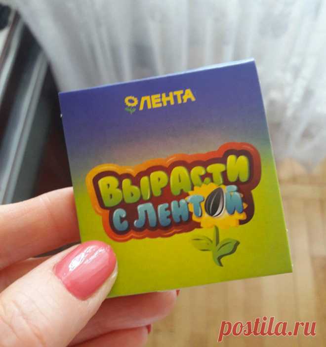 В «Ленте» бесплатно получила семена дайкона. Посмотрела, что внутри упаковки и прочитала о полезных свойствах продукта
Раньше, когда на кассе в «Ленте» к покупкам на определённую сумму выдавали мелкие подарки, это немного раздражало: зачем мне детские картинки или ядовитой расцветки конфеты? Я их просто выбрасывала. А в этот раз маленький презент приятно удивил. По натуре я жуткий экспериментатор...
Читай пост далее на сайте. Жми ⏫ссылку выше