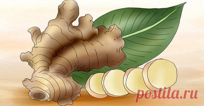 Лекарство которое ничем не заменить: 6 аргументов купить имбирь уже сегодня В последнее время имбирь стал пользоваться огромной популярностью не только в области питания, но и в лечебных целях. С чем связан такой интерес общественности к этому незамысловатому корню?
Родиной э…