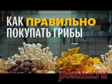 Для новичков: как правильно покупать грибы. Михаил Вишневский - YouTube